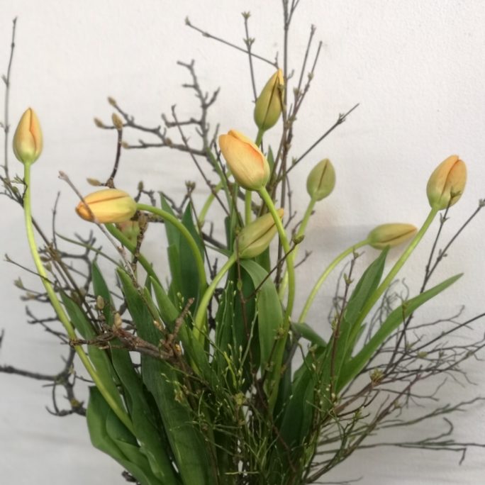 Kreativkurs "Wachsende Kunst - Raumschmuck"