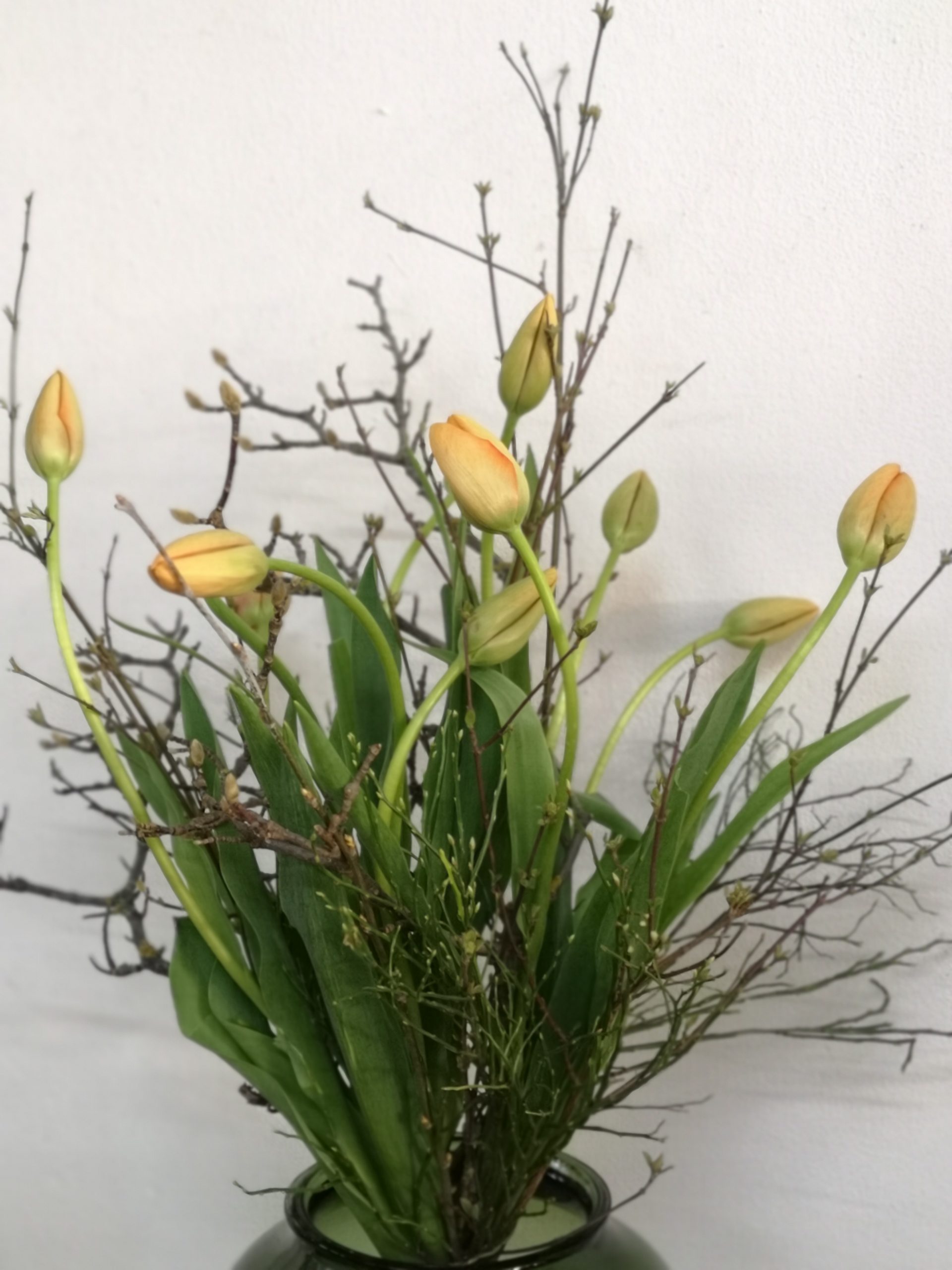 Kreativkurs "Wachsende Kunst - Raumschmuck"